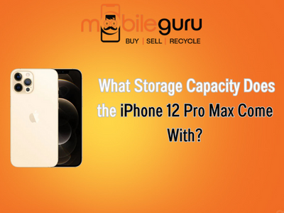 What storage capacity does the iPhone 12 Pro Max come with?